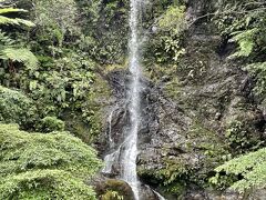 加計呂麻島に着いて最初に滝を見に行きます。道路沿いにあります。落差があって中々の迫力です。