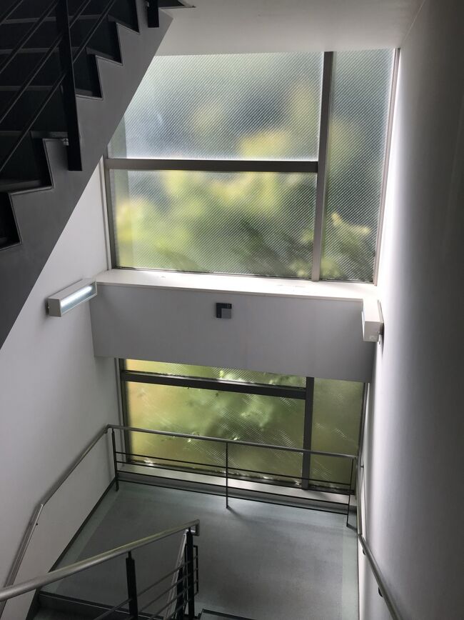 外の緑が映るとステキ