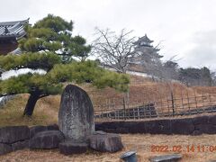 途中掛川城に拠ります。

前回は桜満開の３月２９日でした。