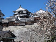 板張りの黒いお城松山城、また行きたいなと思う立派なお城でした。

映像コンテンツ、VR松山城　謎の姫と幻の合戦で初VR体験も楽しめました。