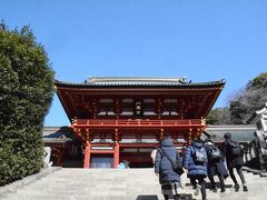鎌倉の定番観光スポットの一つが鎌倉の鶴岡八幡宮。