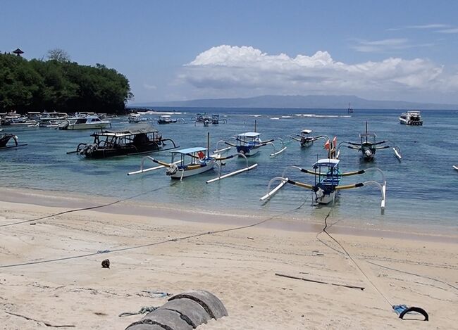 沢山のボートが泊まっています。
