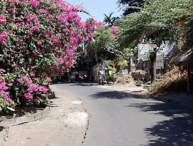 2020/10/25(日)の合計(IDR)       　                            <br />シュノーケリング他      360k<br />飯代                            42k<br />計        402k(大体3000円 ) <br /><br />旅行第338日目までに使ったお金：<br />　　　　　    計 約1,142,093円<br />1日約3,378円使用した。