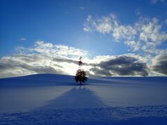 そろそろ夕方
狙っていた美馬牛にある
クリスマスツリーの木へ
よく考えるとクリスマスツリーの木って
変よね
クリマスツリーがそもそもクリスマスの
木だものね
それはさておき、2018年の時には吹雪いて
写真を撮るのもままならず
今回は好天に恵まれてしっかりと撮れた
夕陽越しにシルエットになった木
この風景を撮る為にたくさんのにわかカメラマンが集合
私もその中の一人
良い感じに撮れたね
