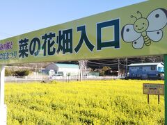 元気な百姓の花畑公園