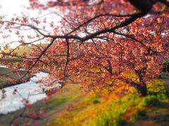 道の駅 下賀茂温泉 湯の花