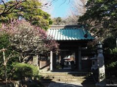 常立寺の門前

江の島で梅の花といえばここ常立寺。
境内に咲く枝垂れ梅で知られます。
湘南モノレールの江の島駅から徒歩２，３分です。