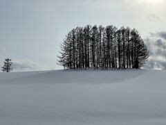 マイルドセブンの丘