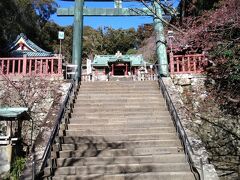 久能山東照宮
久能山東照宮には車では行けなくて、久能山下からは石段を1,159段上がるか、日本平からロープウェイで行く事ができます。
宿泊客は、ホテルからロープウェイ駅までの送迎を随時していただけます。
私たちは迷わずロープウェイを選択しました。