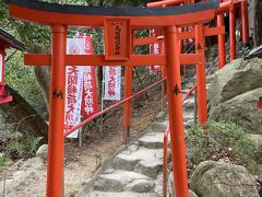 梅園を抜け山の方へ上っていき、赤い鳥居が連なる石段を上って九州最古の稲荷神社といわれる天開稲荷社へ。