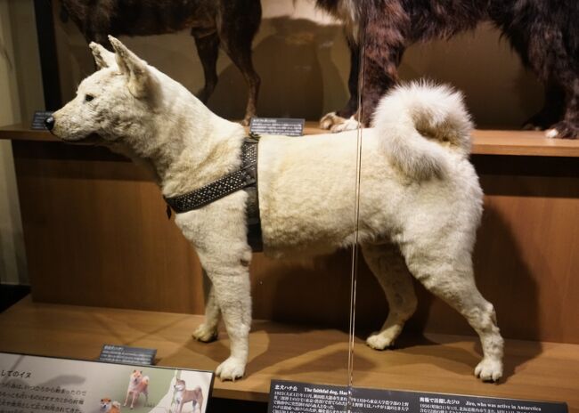 メトロポリタン美術館展 フェルメールと17世紀オランダ絵画展などを巡ってきました 上野 御徒町 東京 の旅行記 ブログ By Mo2さん フォートラベル
