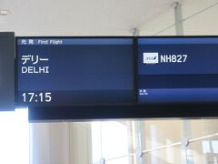 全日空でデリーまで飛びました。この片道航空券はユナイテッド航空のマイルで手配致しました。