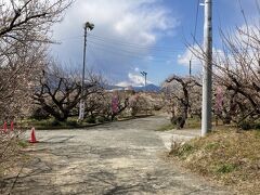 まずはJR国府津駅からバスで曽我梅林へ
富士山見えてるけど雲も多くてだいぶ隠れてます…