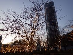 日が暮れると、ホテルの外はイルミネーションが点灯してロマンティック
檜町公園方面の道路