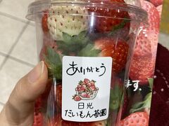 鬼怒川温泉駅前で苺を売っていました。
4種類入っていて、600円！
いろいろないちごが食べ比べられるので、早速購入し駅で食べました。

ちなみにSLのチケット保持者は100円引きで500円で買えます。