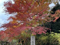 京都の北東、滋賀との県境の山あいにある
三千院へ(700円）

大原
遠い、公共交通で来るのは不便ですが
それ以上の魅力があるので
特にこの紅葉の季節、晩秋の頃を見逃して
冬を迎えるなんて
関西にいるのに
日本にいるのに
もったいない！

駐車場は近くの民間の駐車場に(500円）


