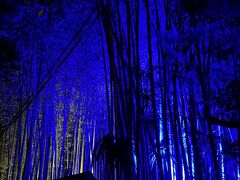 野宮神社から大河内山庭園に至る
バンブーゾーン
竹林の小径

まさに今
かぐや姫を迎えに月からのお迎えが来ているかのような
得体のしれない青い光に包まれている　　Wow！