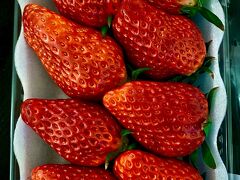 【成田空港第二ターミナルにて】

ここで晴れて解放され、ABCカウンターに後送品の申請書を提出しに、またそこで3個あるトランクを実家に送る手配を行い、やっと身軽に。

空港の出口辺りで、千葉産の大きなジャンボ苺が売っていたので、つい購入してしまいました。二百円マケてもらって、千円で...。今考えると、高いけど...まあ、その時は気持ちが高ぶっていたからか、つい...