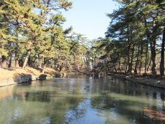 【1日目】

敷島公園（群馬県前橋市）

松林にボート池やばら園もある広大な公園です。
ばら園の隣の「登竜池」にカモがたくさんいました！