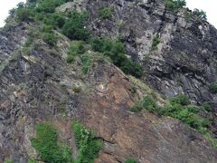 ローレライの岩