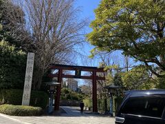 日本医科大学大学院の横にあるのが根津神社への鳥居。
