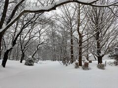 帰路ですが、大雪です。中島公園で遭難しそう…