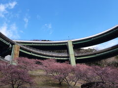 河津七滝ループ橋(七滝高架橋)