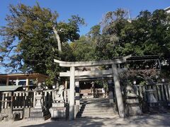 ●長野神社＠近鉄・南海/河内長野駅界隈

本殿が重要文化財に指定されている長野神社。
創建時期は、詳しくはわかっていないそうです。
ただ本殿は、1543年頃に建てられたと考えられています。
「長野戎」が有名です。