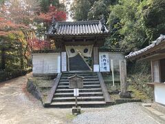 　日を改めて１１月２８日。松尾寺に登ってきました。