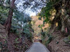 今日は亀ヶ谷坂から源氏山を抜けていくコースを選択
周囲を山に囲まれた鎌倉には七口とも呼ばれている七つの切通があります。
