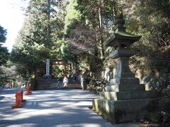 元箱根周辺を散策したあとは箱根神社へ向かいました。