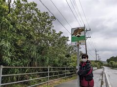 車での移動