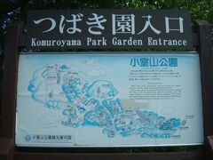 つばき園入口のメインはこちらのようでうす。色あせた小室山公園観光案内図がありました。
３月中旬では椿はほとんど終わっているので、椿目的の方は、もっと早めの時期をお勧めします。