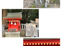 この裏手が生田の森。

小さな祠は戸隠神社だそうです。
可愛らしいですね。
こんなに小さいのに素晴らしい龍の彫刻が施されていました。

御祭神は天手力男（あめのたちからお）命。
天の岩戸の故事に出てくる神であり、本社は信州長野戸隠。
その御分霊を祀っているそうです。

天手力男命は身体健全・筋力増進・大力の神様。

