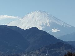 桜まつりの会場は富士山の展望の名所でもある。往路、逗子から二宮の海岸線からも良く見えたが、やはり松田町からは近く迫力がある。