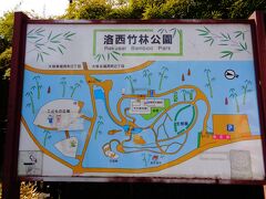 京都市洛西竹林公園