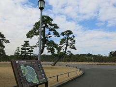 皇居外苑にやってきました。朝の清々しい空気が広がっています。