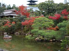 ままさん「まっちぃ、こっちこっち、見事な眺めだよ！」
わぁぁ～、広い境内の仁和寺、色づいた木々の向こうに五重塔が見えます。
単純な私は、五重塔を見るだけで、「あぁ、京都に来た」と思う（笑）

