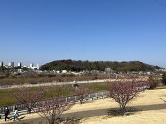 常光寺から西へ４キロ、引地川沿いにある引地川親水公園。遠くに見えるのが、大庭城址の山。