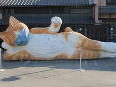 車でおよそ５０分。瀬戸市のMパーク駐車場につきました。嬉しいことに３０分無料！
駐車場には巨大な猫の涅槃仏が横たわっています。すぐ横が招き猫ミュージアムで正式名称は巨大涅槃猫。なんと日本一なんだそうです。