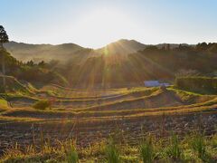 ちょっと遅めの昼食を終え、沿岸部を離れ車を山へ。
既に４時近くになっていたので、11月の陽は既に地平線すれすれ。