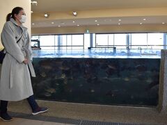 桟橋の袂にある渚の博物館。
東京湾にいる魚を中心に案内しているミニ水族館みたいな場所で小さいお子様連れには楽しめる場所かも。