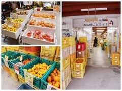 農場で収穫された柑橘系…。
ここから、あらゆるところへ発送されるのねー。
もちろん、直接ここで購入っていうのも有りよー。