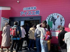 又梅林に戻り、とっても賑わっていたアイス工房へ並びます。