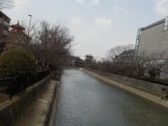 川がある風景は美しい。なーんて思っていたけど、母曰く琵琶湖疎水だそうです。どっちにしろ美しい（京都府の回し者じゃなくて本当に美しいと感じました）。
