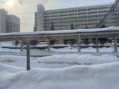 JR快速エアポートで札幌駅へ。先日テレビで見た千歳線、駅員さんがシャベルで除雪していた所やなぁ～と思いながら、外の景色見てました。