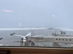 10日ほど前の2月22日、北海道はまたもやの大雪に見舞われ新千歳空港も開港以来初の全便欠航となりました。そんなことが嘘のような今日の新千歳空港です。