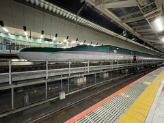 東京駅へ移動。こんな新幹線が見られる場所があったのですね。ここは９番ホーム。