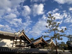 あまりにも天気が良かったので妙心寺を散歩。
https://www.myoshinji.or.jp/