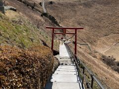 山頂駅から少し歩くと階段があり、下っていくと鳥居が立っています。さらに進むと社殿があります。大室山山頂には浅間神社があって磐長姫命を祀っているのです。